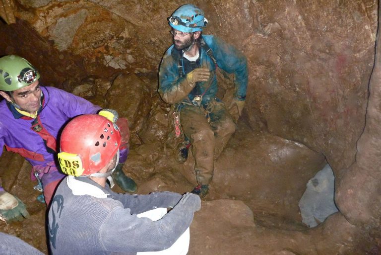 News de novembre 2013