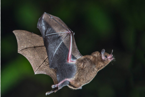 Bonne conduite en milieu souterrain